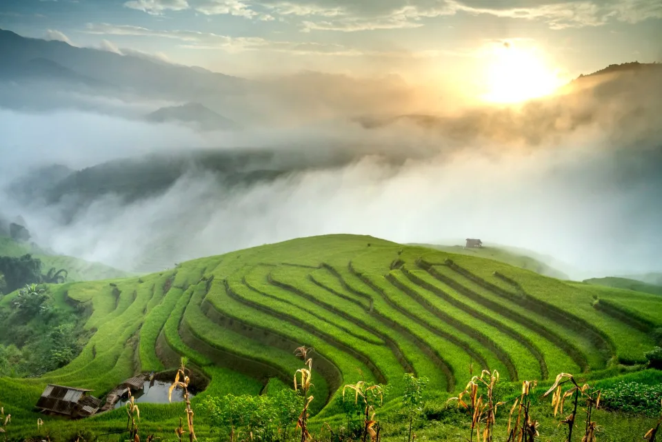 Kho gạo của Nguyễn Thị Dung